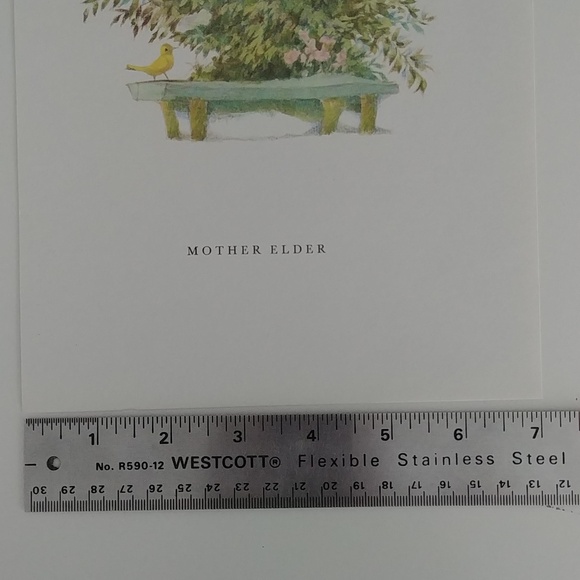 💙4/20 vintage Fairy tale illustration - Picture 3 of 4